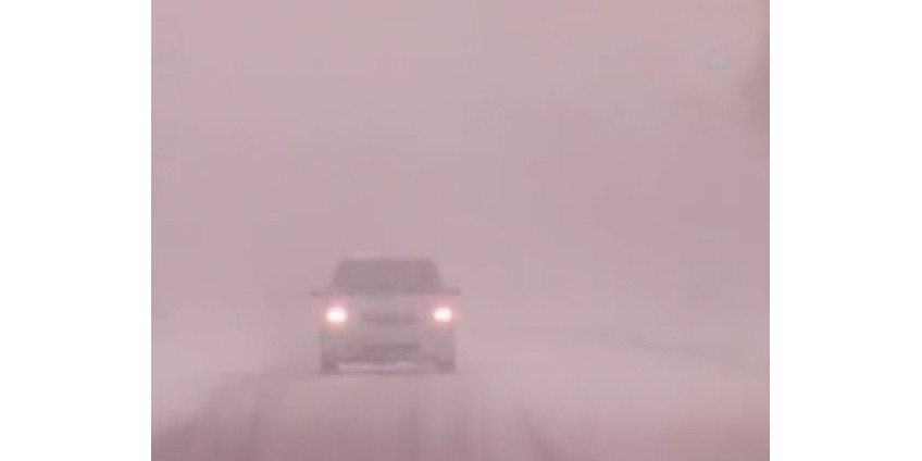 Аризону охватила снежная буря