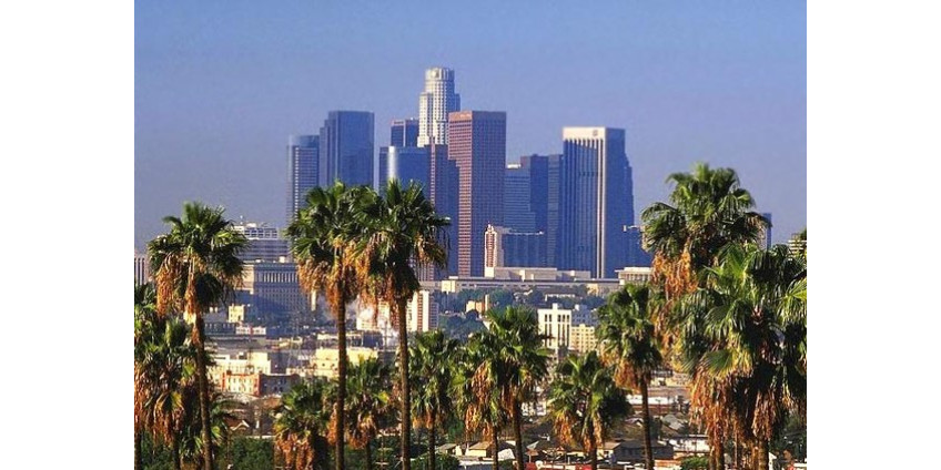 Полиция Лос-Анджелеса задержала 7 человек на митинге
