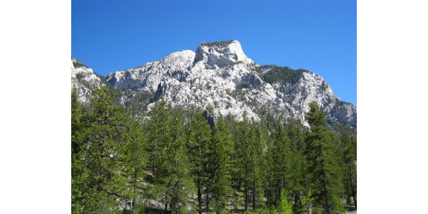 Пропавшую в горах семью нашли