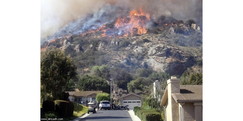 Лесным пожаром уничтожены 15 домов