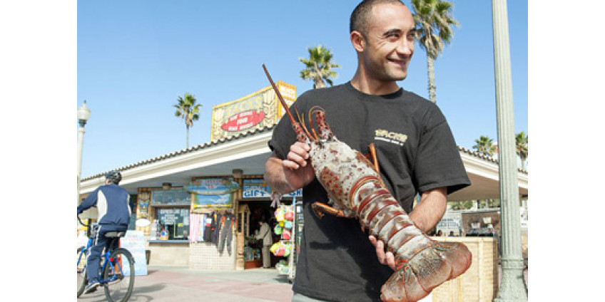 Житель Калифорнии поймал огромного омара