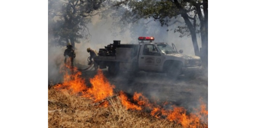 Власти Калифорнии объявили чрезвычайное положение
