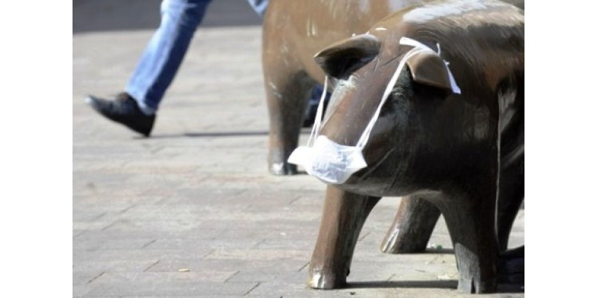 В Калифорнии зверствует «свиной грипп»