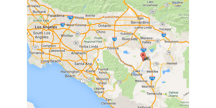 Калифорнийский бездомный выжил после нападения пумы