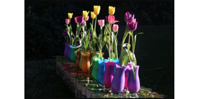 В Аризоне открывают официальную школу икебаны