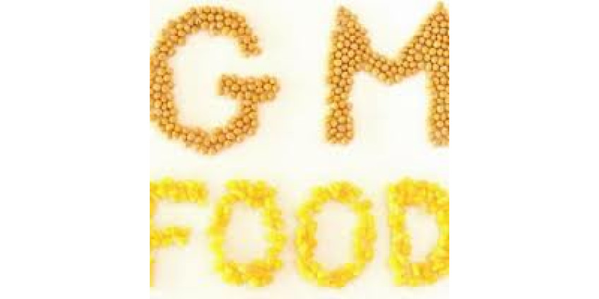 В Аризоне поднят вопрос о маркировке ГМ-продуктов