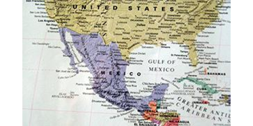 Съедобные кактусы могут быть полны пестицидов