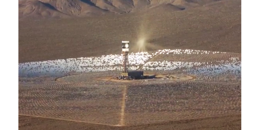 Новая электростанция убивает птиц