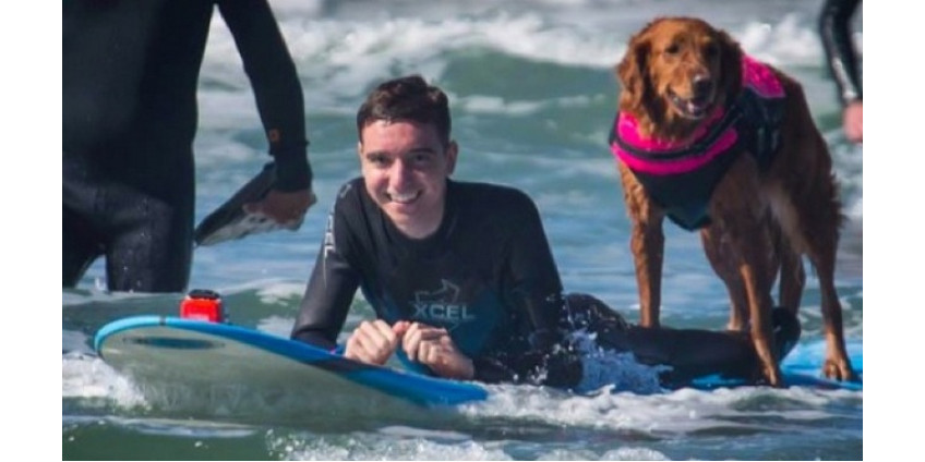 Собака-серфер помогла умирающему подростку