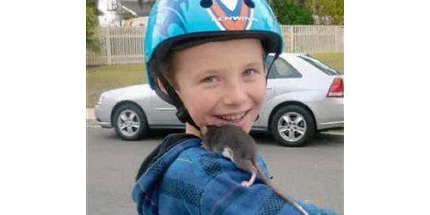 Ребенок погиб из-за домашней крысы