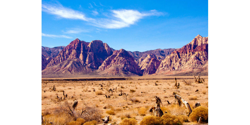 Ранчо в Неваде противостоит властям