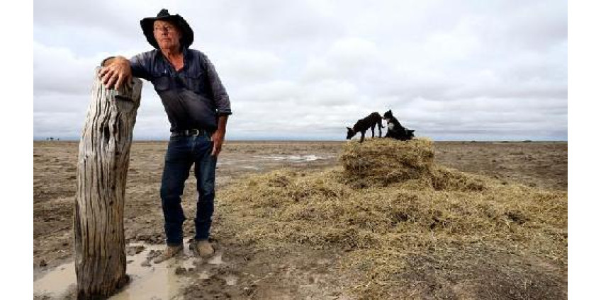 Справиться с засухой помогут золотодобытчики