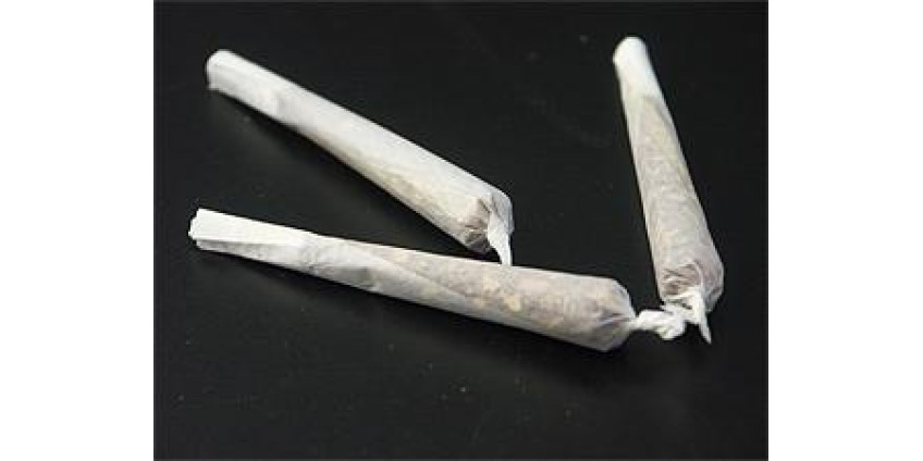 На границе с Сан-Диего изъяли 39 тонн марихуаны