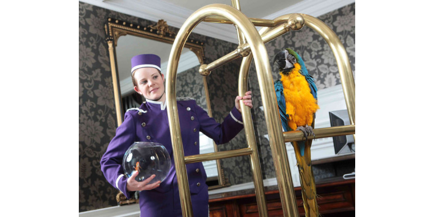 Отели Сан-Диего предлагают новую услугу