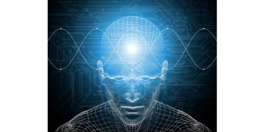 В Сан-Диего будут стирать и восстанавливать память