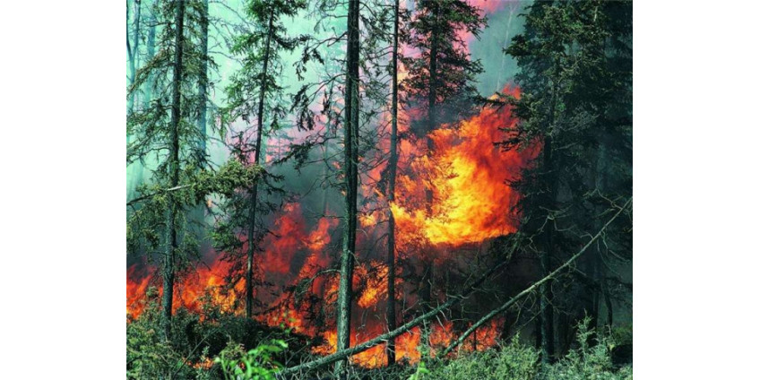 Из Калифорнии эвакуируют людей