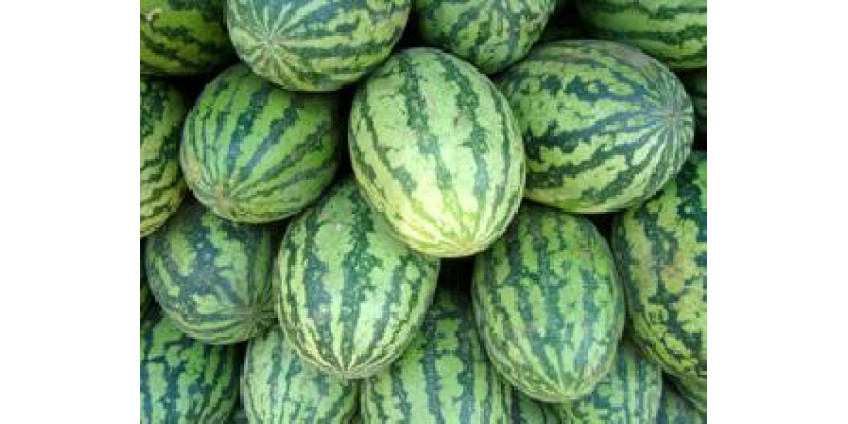 В Аризоне наркотики раскрашивают под арбуз