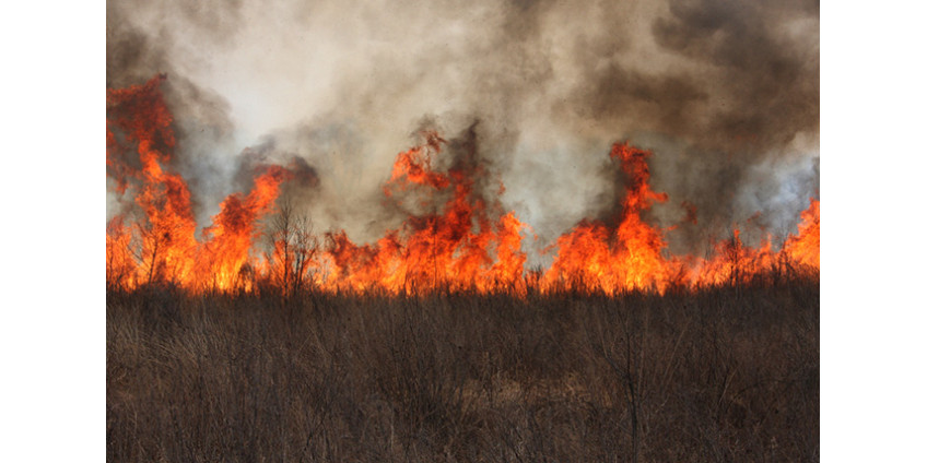 Благодаря ветру удалось сдержать пожар в Аризоне