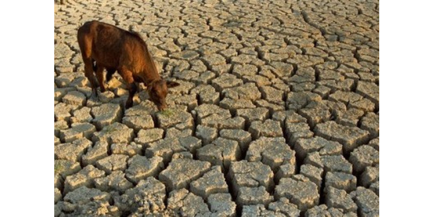 Лас-Вегас находится на грани исчезновения?