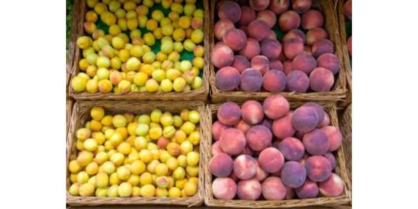 Калифорнийские органические фрукты отзывают из продажи