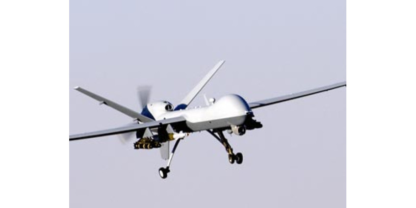 Кошка помешала самолетам