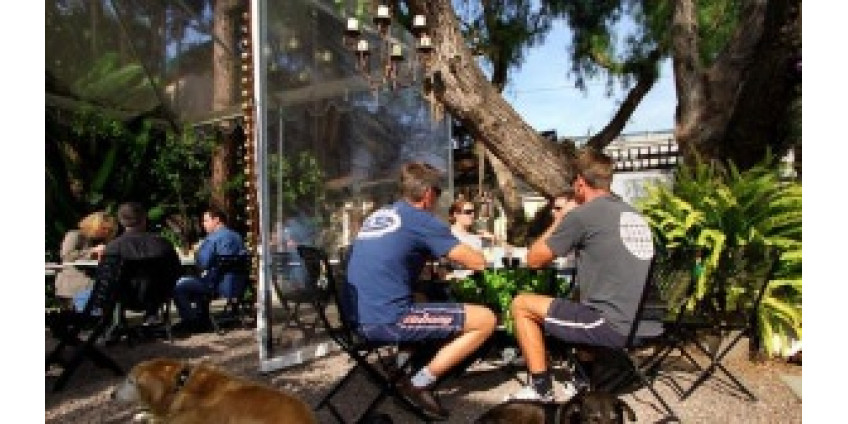 В рестораны можно будет приходить с домашними животными