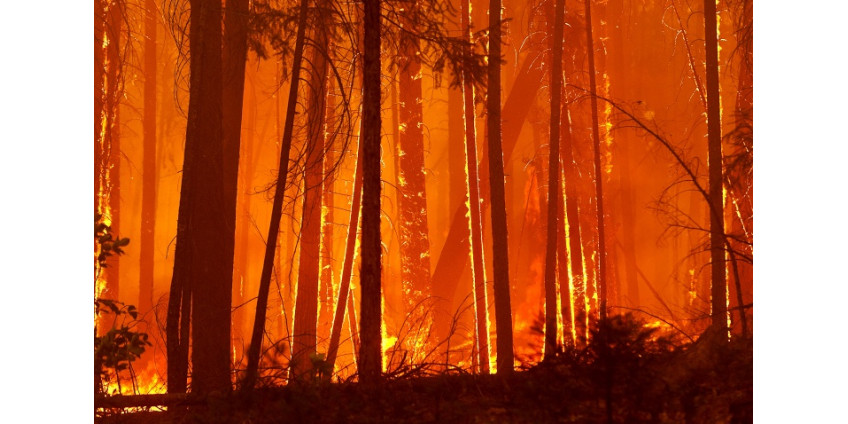 Йосемитский национальный парк оказался под угрозой