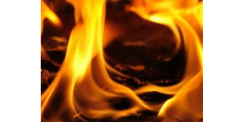 Лесной пожар привел к эвакуации 3 тыс. человек