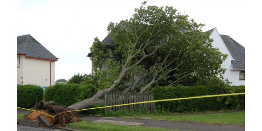 Десятки тысяч домов остались без электричества