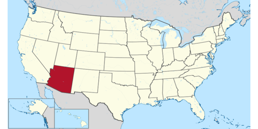 В Аризоне узаконили однополые браки