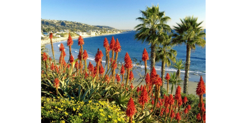 У побережья Клифорнии разбилась яхта