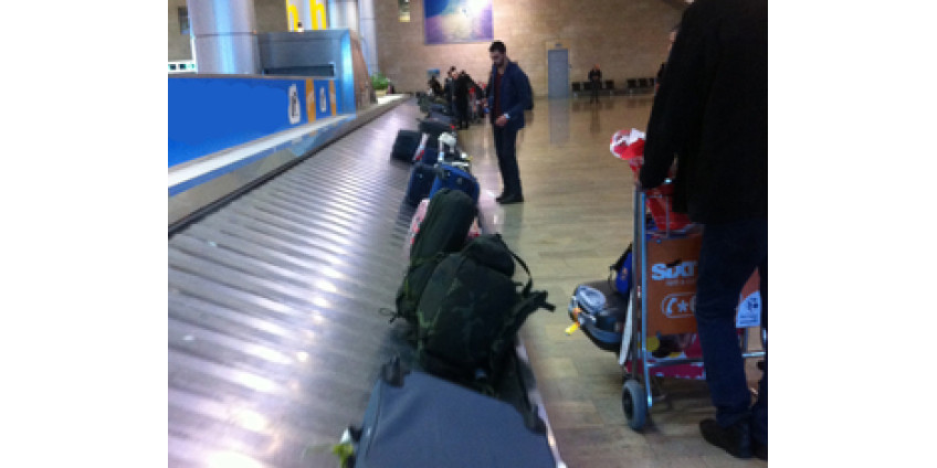 В аэропорту Лос-Анджелеса потеряли собаку пассжира