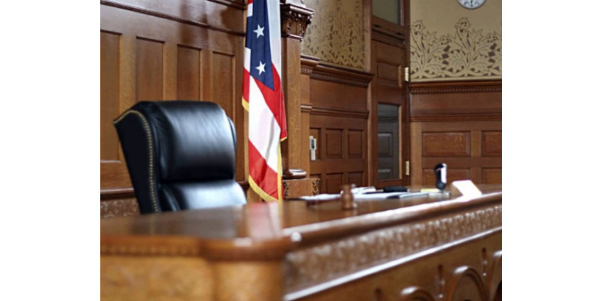 Мужчина получил 2 года тюрьмы за убийство кота