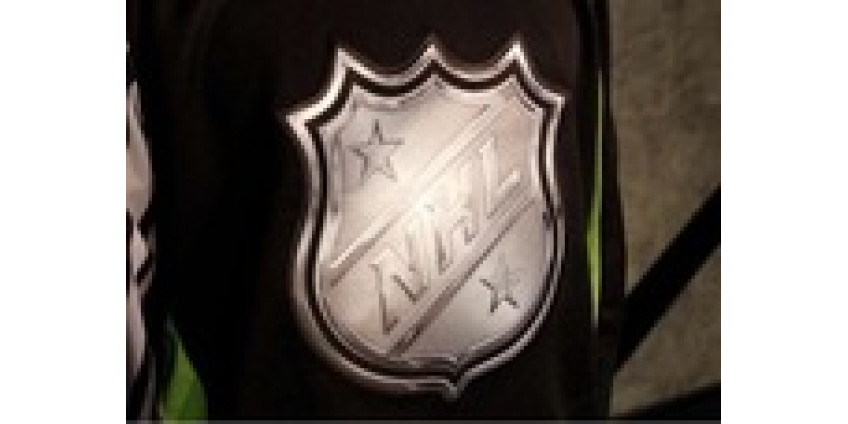 Для вступления в НХЛ клуб из Лас-Вегаса заплатит 450 млн долларов