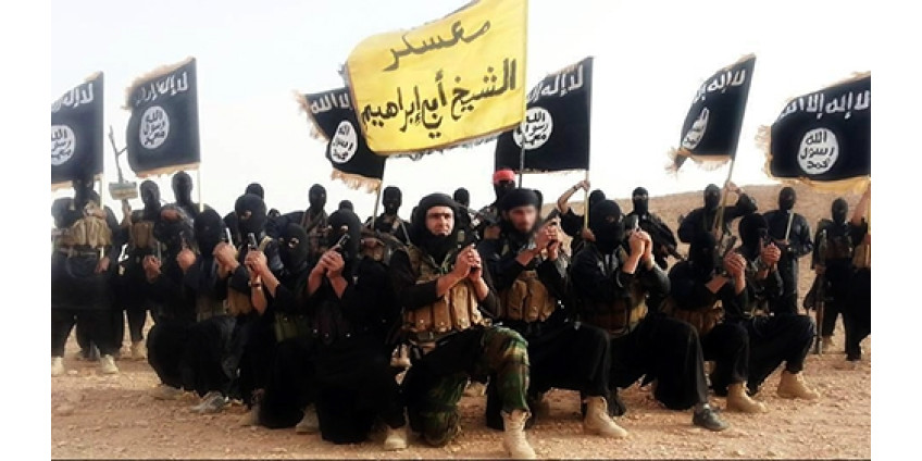 Погибла заложница ИГ из Аризоны