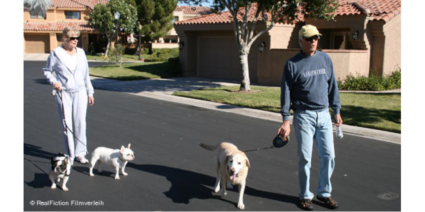 Дорого, но закрыто 