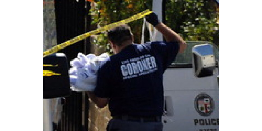 Стрельба в пригороде Лос-Анджелеса