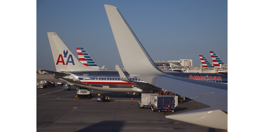 Самолет был вынужден совершить посадку из-за столкновения с птицей