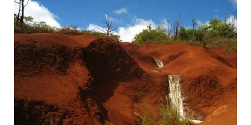 В Аризоне нашли туриста, который три дня жил без воды и еды