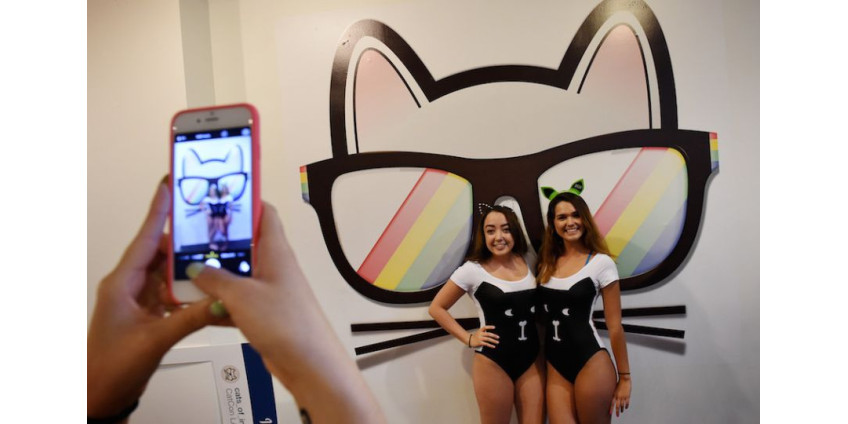 В Лос-Анджелесе прошел Cat Con