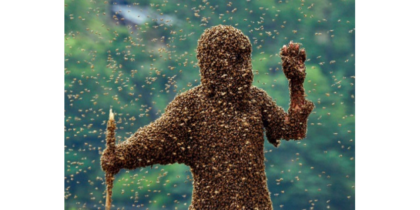 После атаки тысячи пчел мужчина остался жив