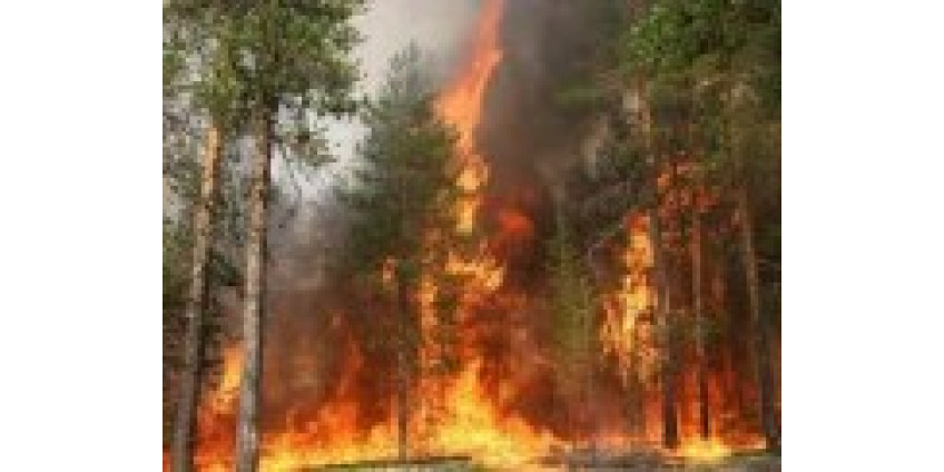 Из Аризоны эвакуированы около 300 человек