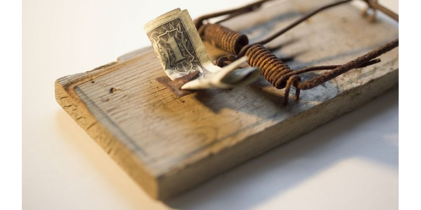 Жителей Лос-Анджелеса просят опасаться кредитных мошенников