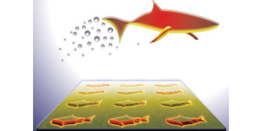На принтере удалось распечатать нанорыбок