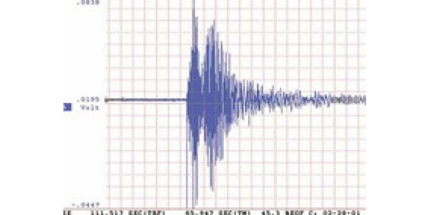 Сан-Диего немного потрусило
