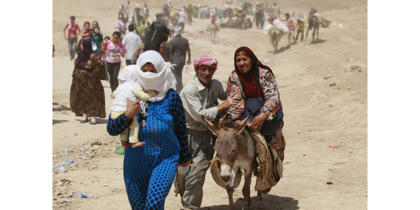 Аризона отказалась принимать беженцев из Сирии