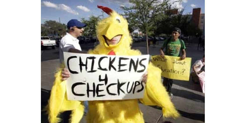 Цыплят в Неваде недолюбливают