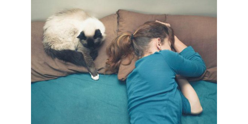 В Аризоне выяснили, что домашние животные помогают крепче спать хозяевам