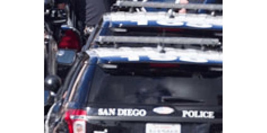 В Сан-Диего арестовали бородатую преступницу