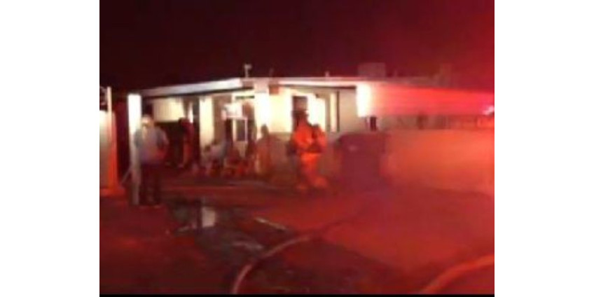 В пожаре в Финиксе погибли 6 животных